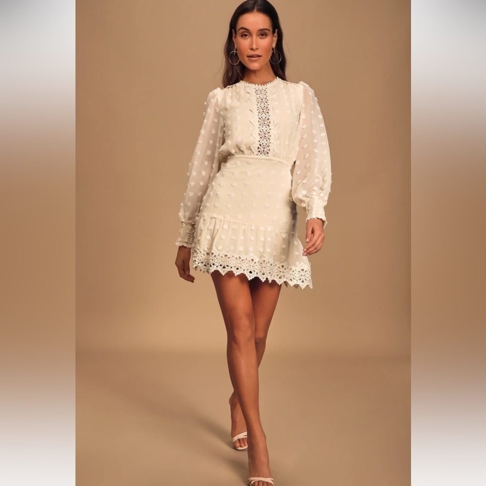 Love x Design Lace Chiffon Swiss Dot Embroidered Long Sleeves Dress in White XL